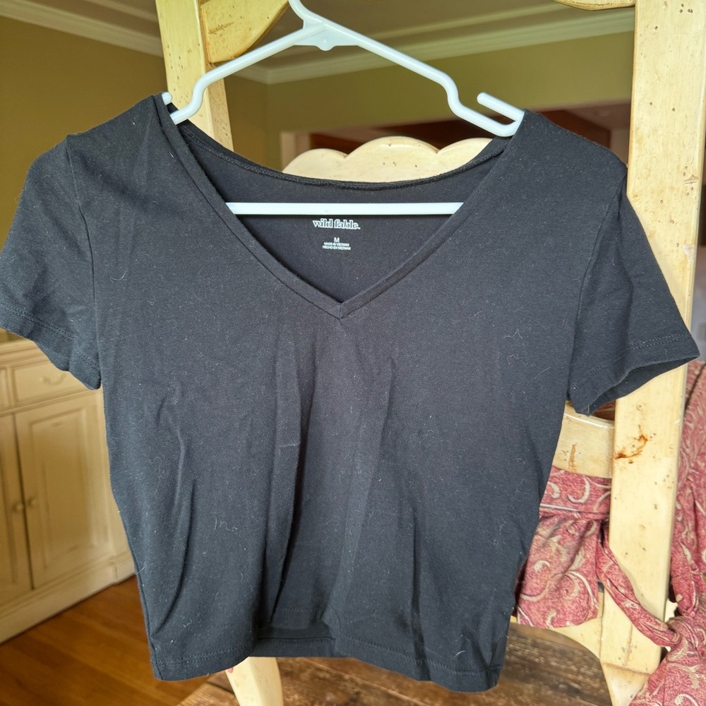 Wild Fable Black V-Neck Crop Top